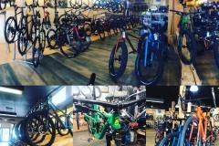 bluedog-bikes