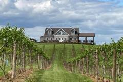 vinyard-exterior